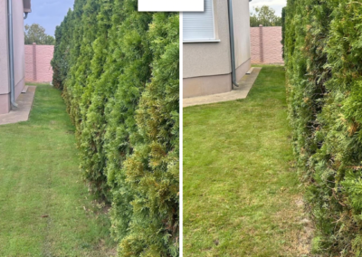 orezivanje tuja i uredjivanje ograde